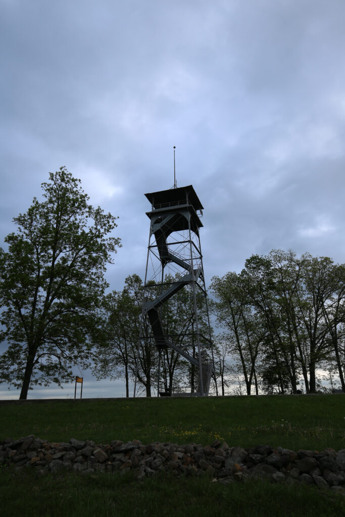 Steel observation tower with a roofed top deck rising above trees at dusk, with a stone wall in the foreground