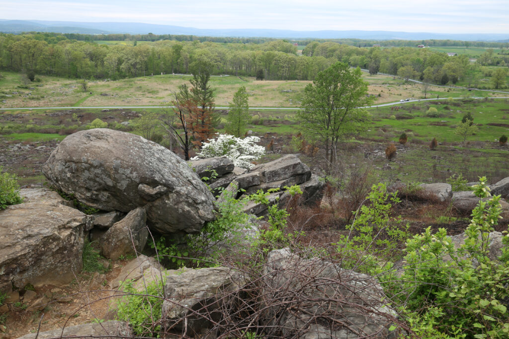 View down from Little Round Top over boulders and a blooming white dogwood to the valley and fields below