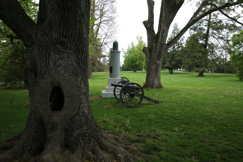 Massive old tree trunk with a hollow opening, with a granite monument and a cannon on the lawn behind it