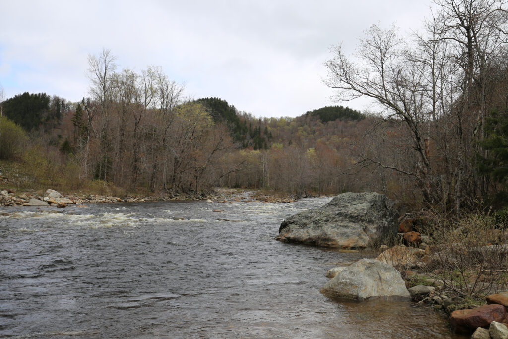 Rocky river with rapids and a large boulder, bare spring trees on the hills behind