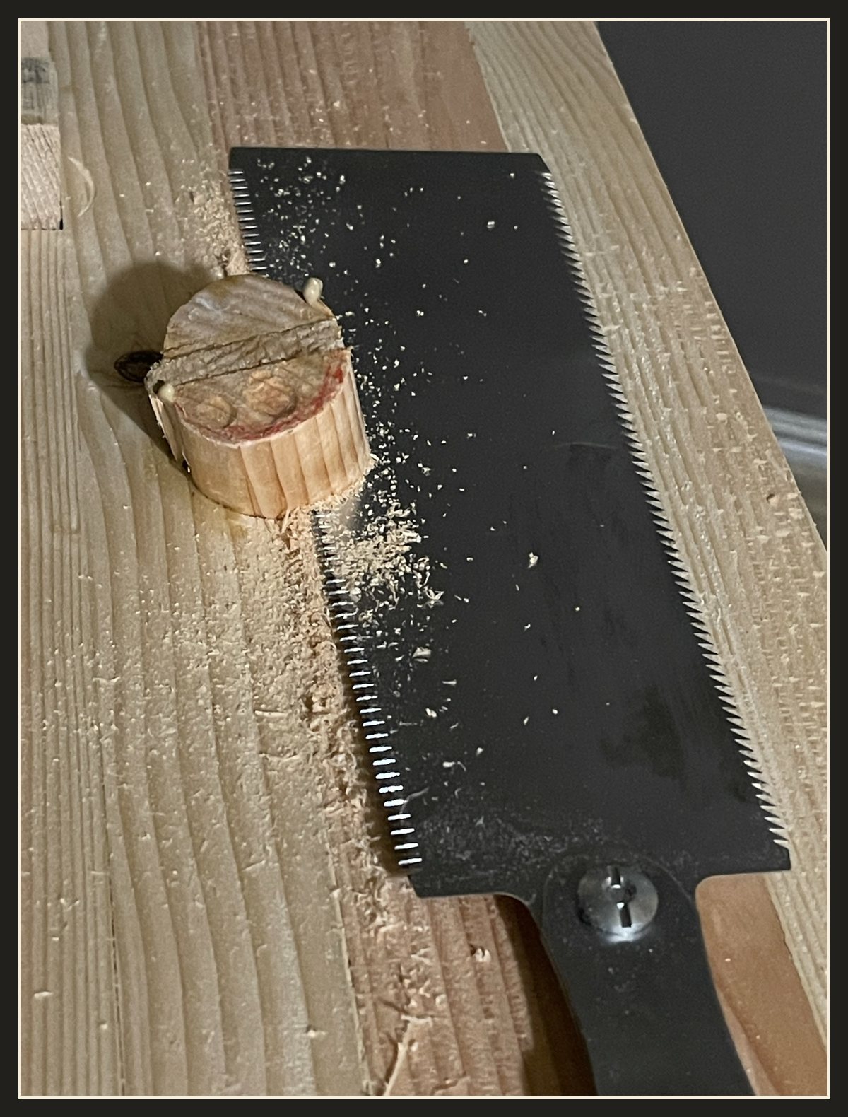 A Japanese saw lying flat on the bench top next to a wedged tenon being cut flush.